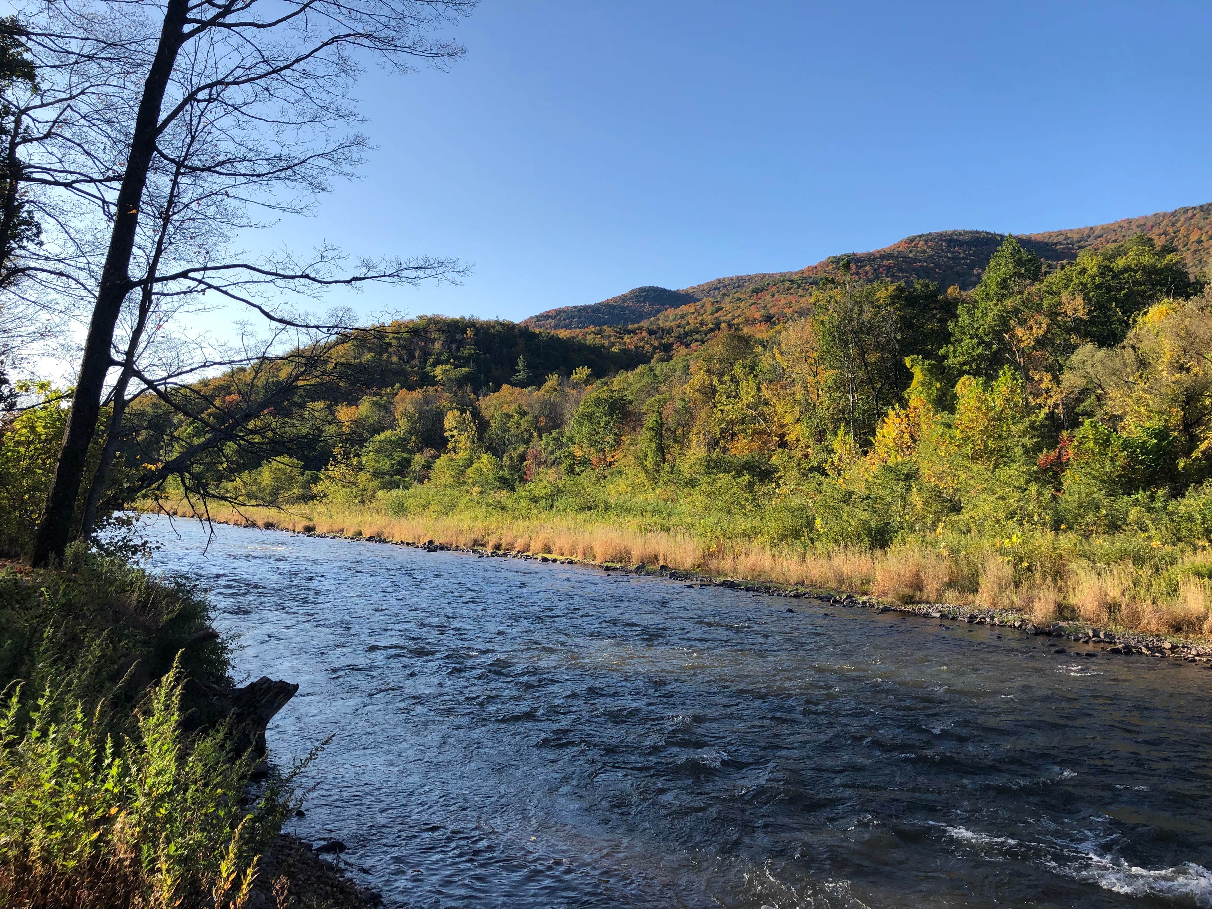 Uncle Pete's Campground - CLOSED