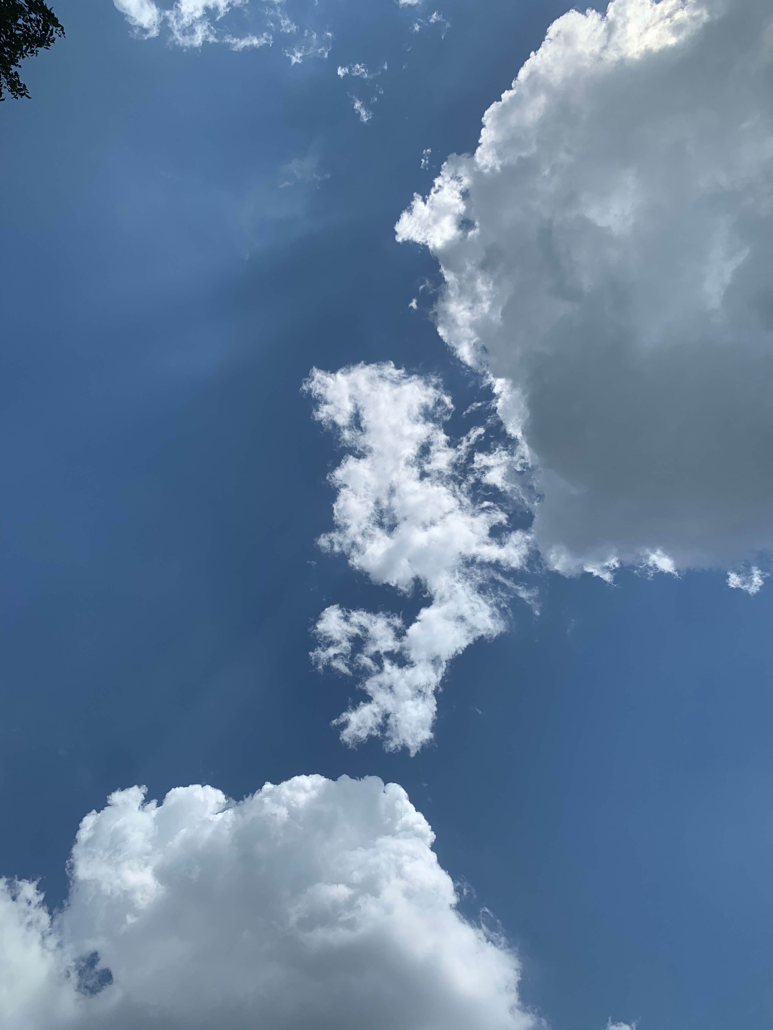 Tim W.'s photo of a dispersed camping area at Port Aransas Permit Beach near Rockport, TX