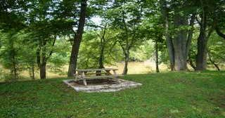 Whitney Lane RV Park - Main photo