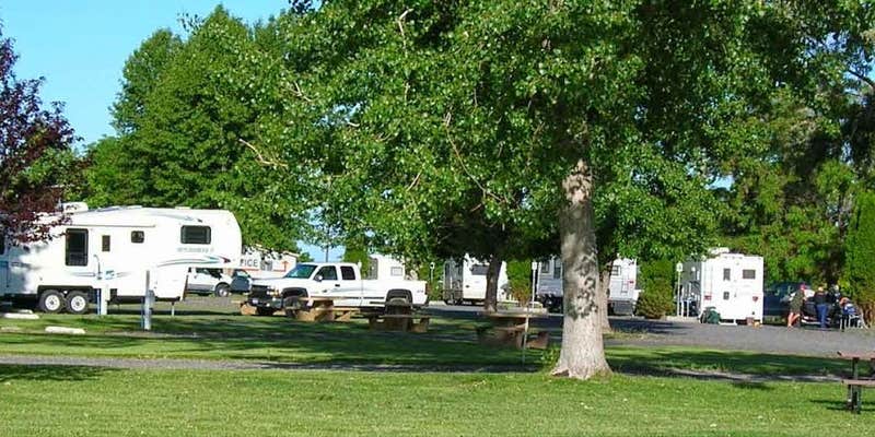 Camper submitted image from Fisherman's Bend