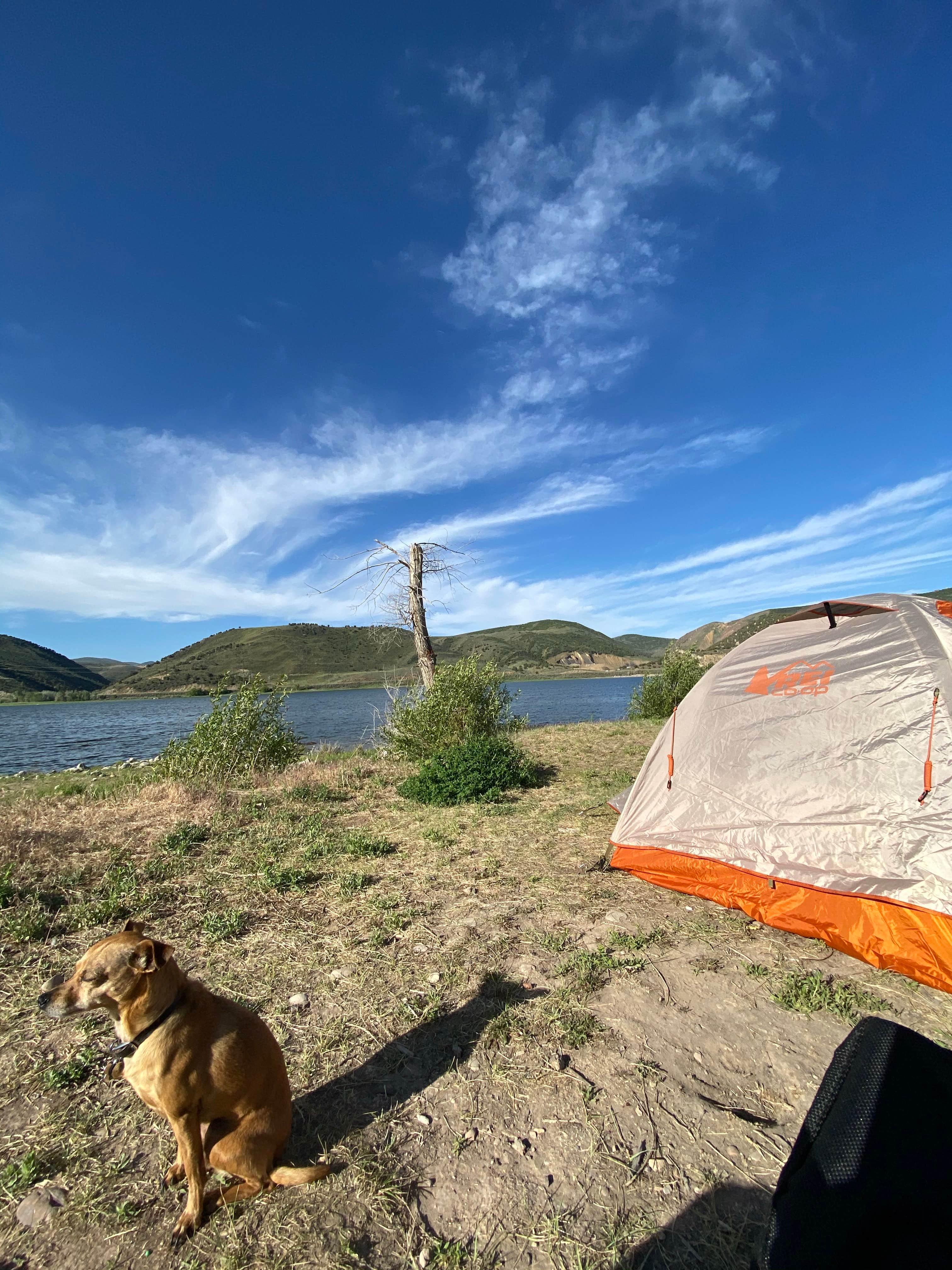 Camper-submitted photo at Twin Coves — Rockport State Park near Evanston, WY