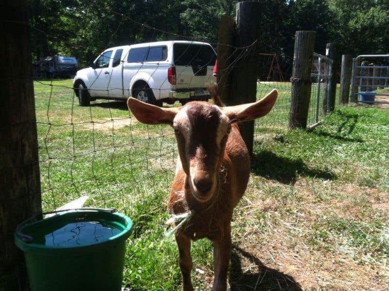 Camper-submitted photo at Salem Farms Campground near Lebanon, CT