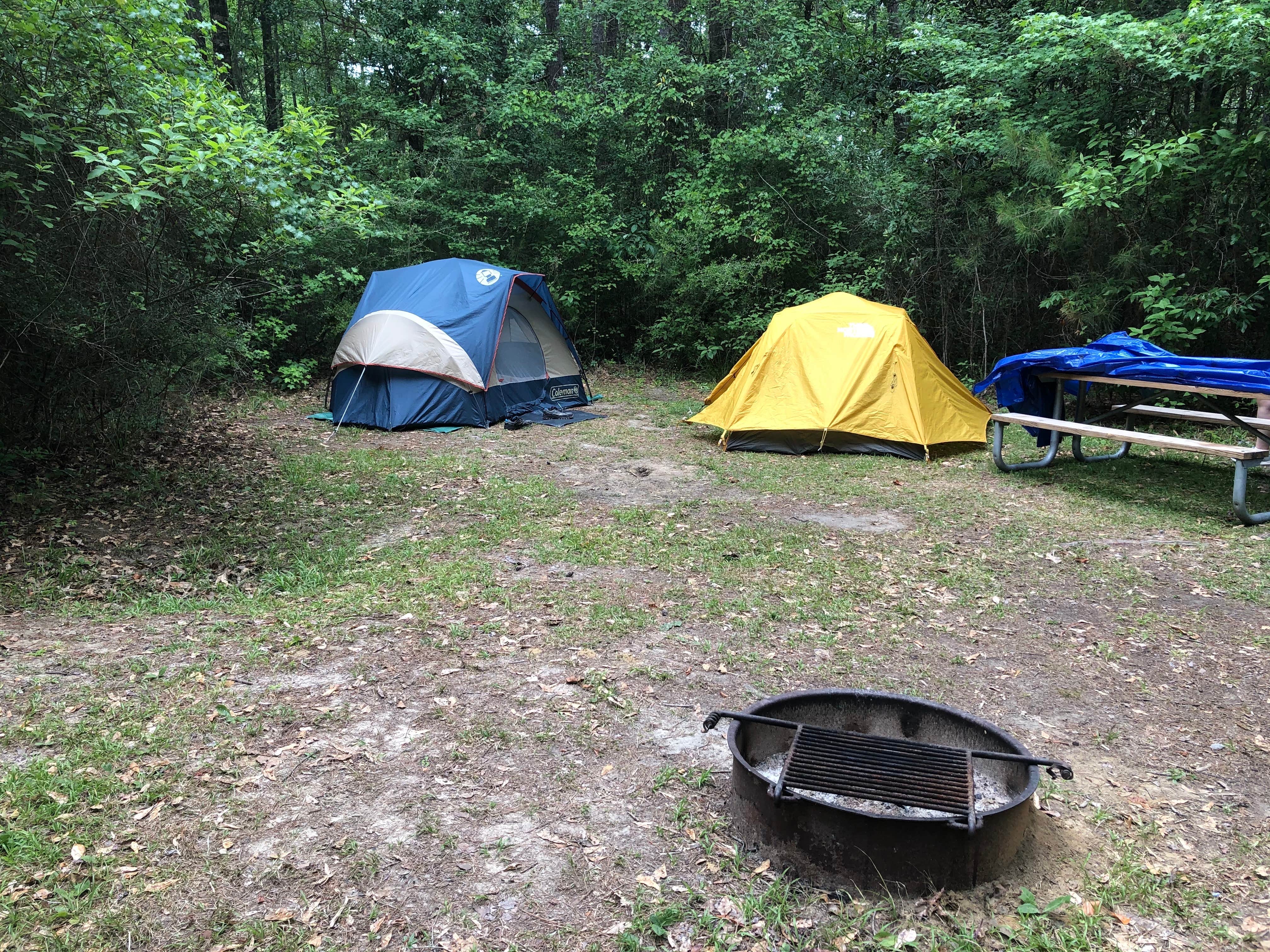 MomSolo's photo at Blakeley State Park Campground near Grand Bay, AL