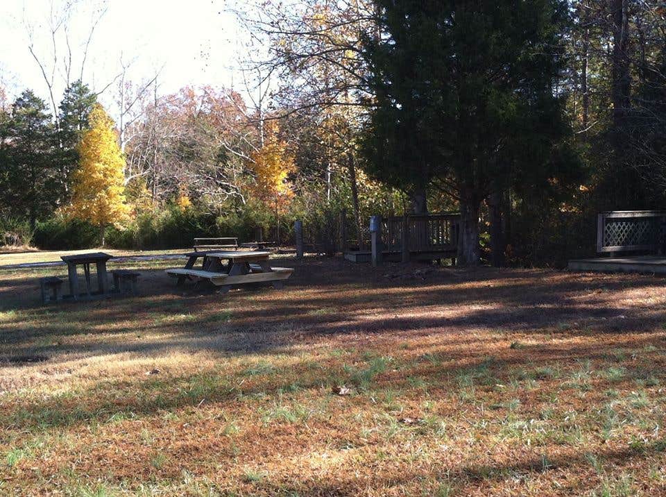 Camper submitted image from Currahee RV Park - 2