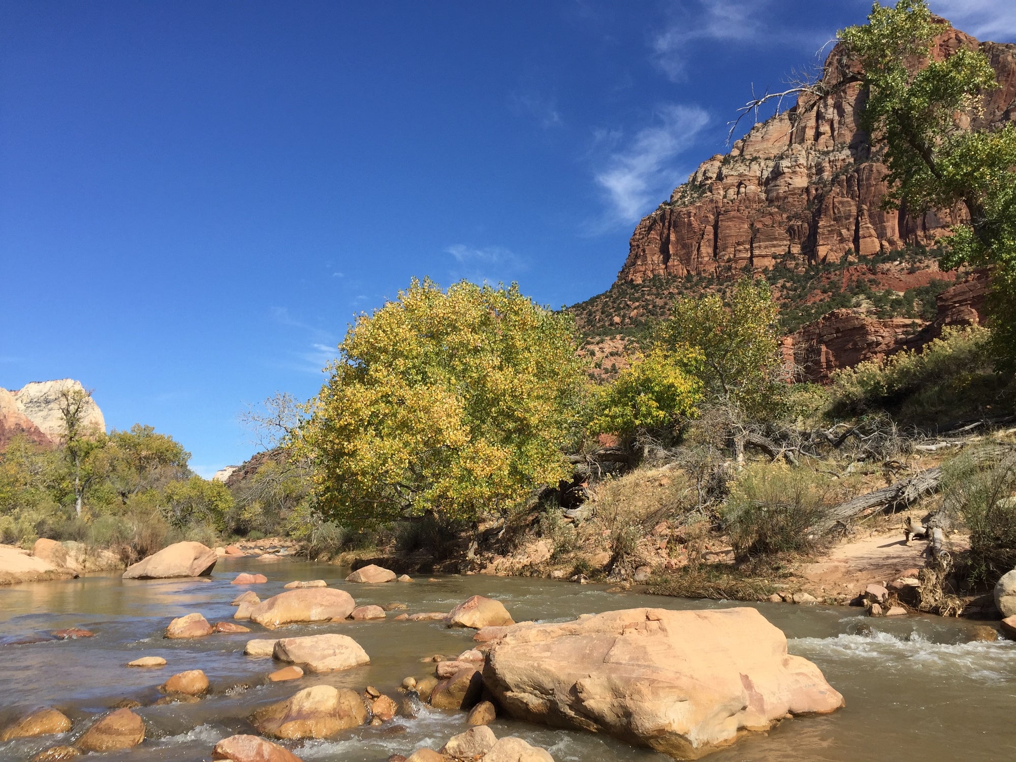 Fall in Zion National Park - Top National Parks for Fall Camping