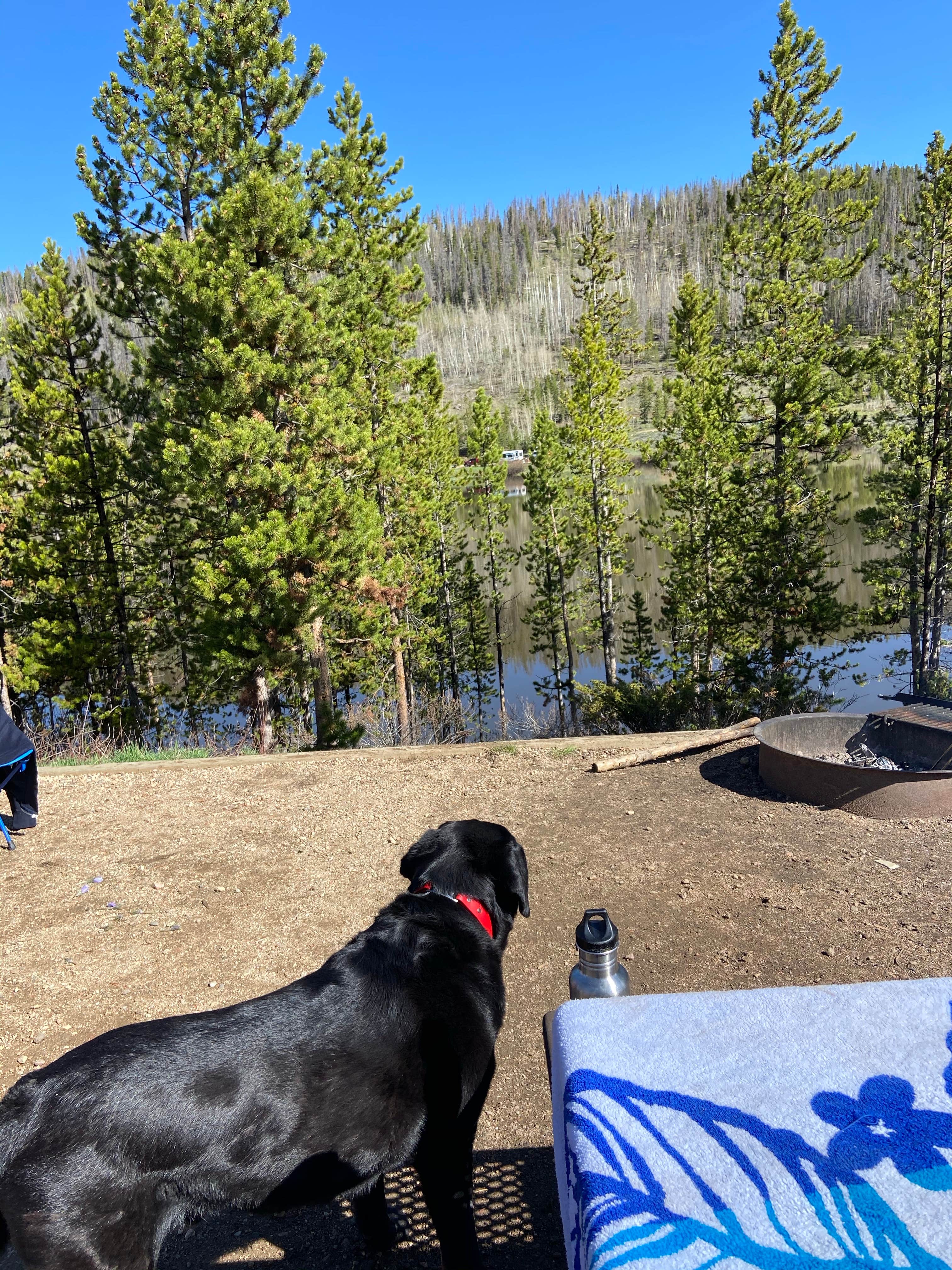 Meghan H.'s photo of camping with pets at North Michigan Campground — State Forest State Park near Gould, CO