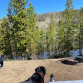 Review photo of North Michigan Campground — State Forest State Park by Meghan H., June 4, 2020