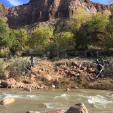 Review photo of South Campground — Zion National Park by Daniel S., October 14, 2017