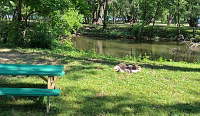 Camper submitted image from Millpoint Park - 3