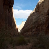 Review photo of South Campground — Zion National Park by Daniel S., October 14, 2017