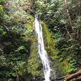 Review photo of Heart O' the Hills Campground — Olympic National Park by MomSolo , June 4, 2020