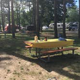 Review photo of Beach Campground — Holland State Park by B M., June 4, 2020