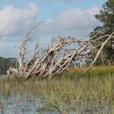 Review photo of Skidaway Island State Park Campground by B M., June 5, 2020