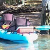 Review photo of Skidaway Island State Park Campground by B M., June 5, 2020