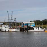 Review photo of Skidaway Island State Park Campground by B M., June 5, 2020