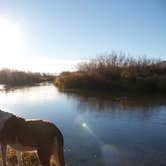 Review photo of Silver Creek by Daniel S., October 14, 2017