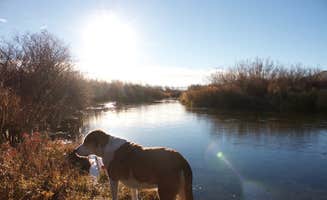 Daniel S.'s photo of camping with pets at Silver Creek Plunge near Crouch, ID