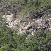 Review photo of Cloudland Canyon State Park Campground by B M., June 5, 2020