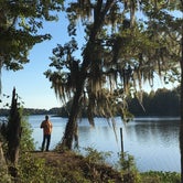 Review photo of Florence Marina State Park Campground by B M., June 5, 2020