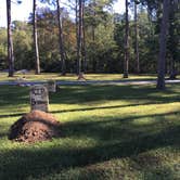 Review photo of Florence Marina State Park Campground by B M., June 5, 2020