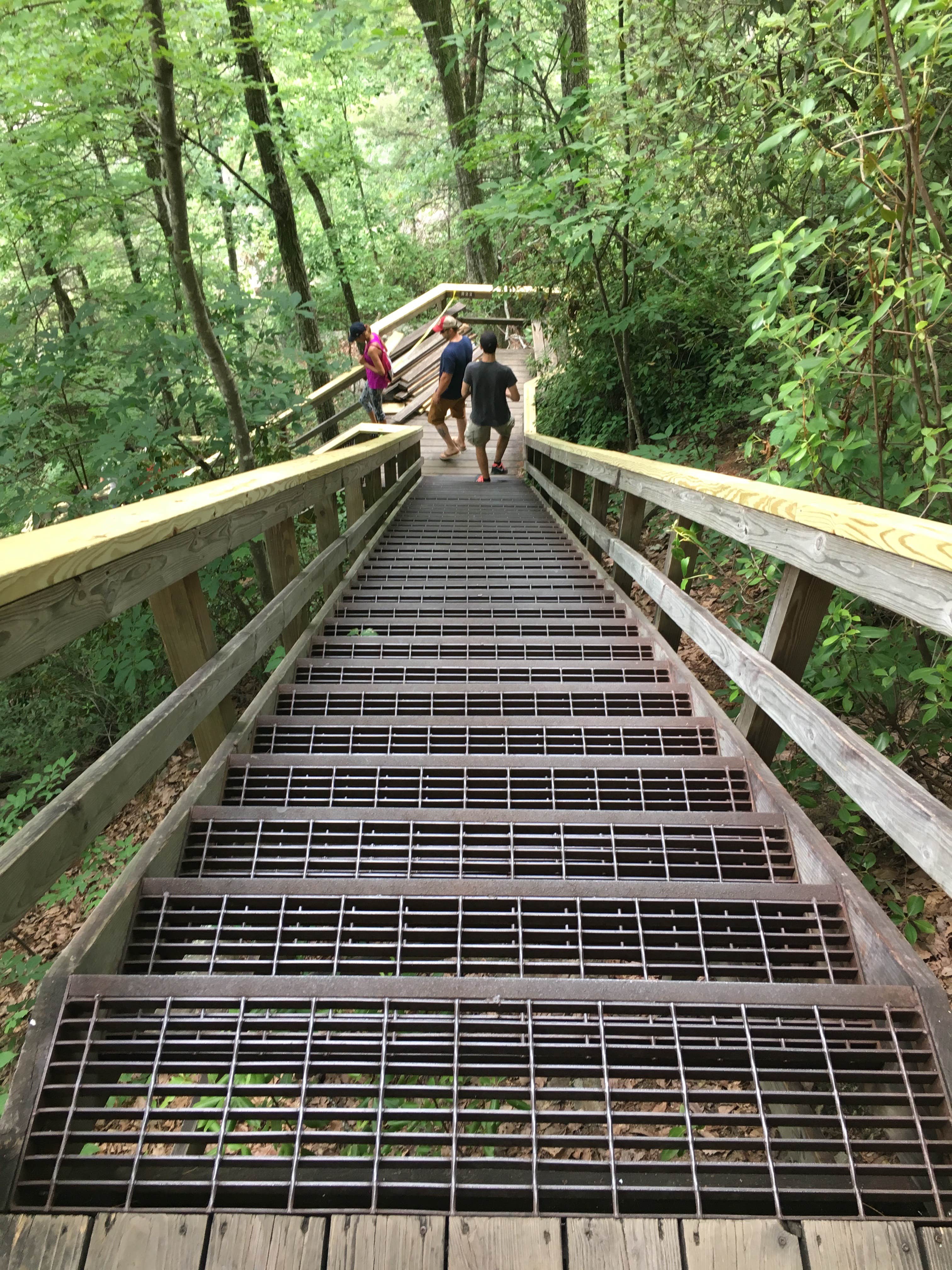 Camper submitted image from Tallulah Gorge State Park Campground - 4