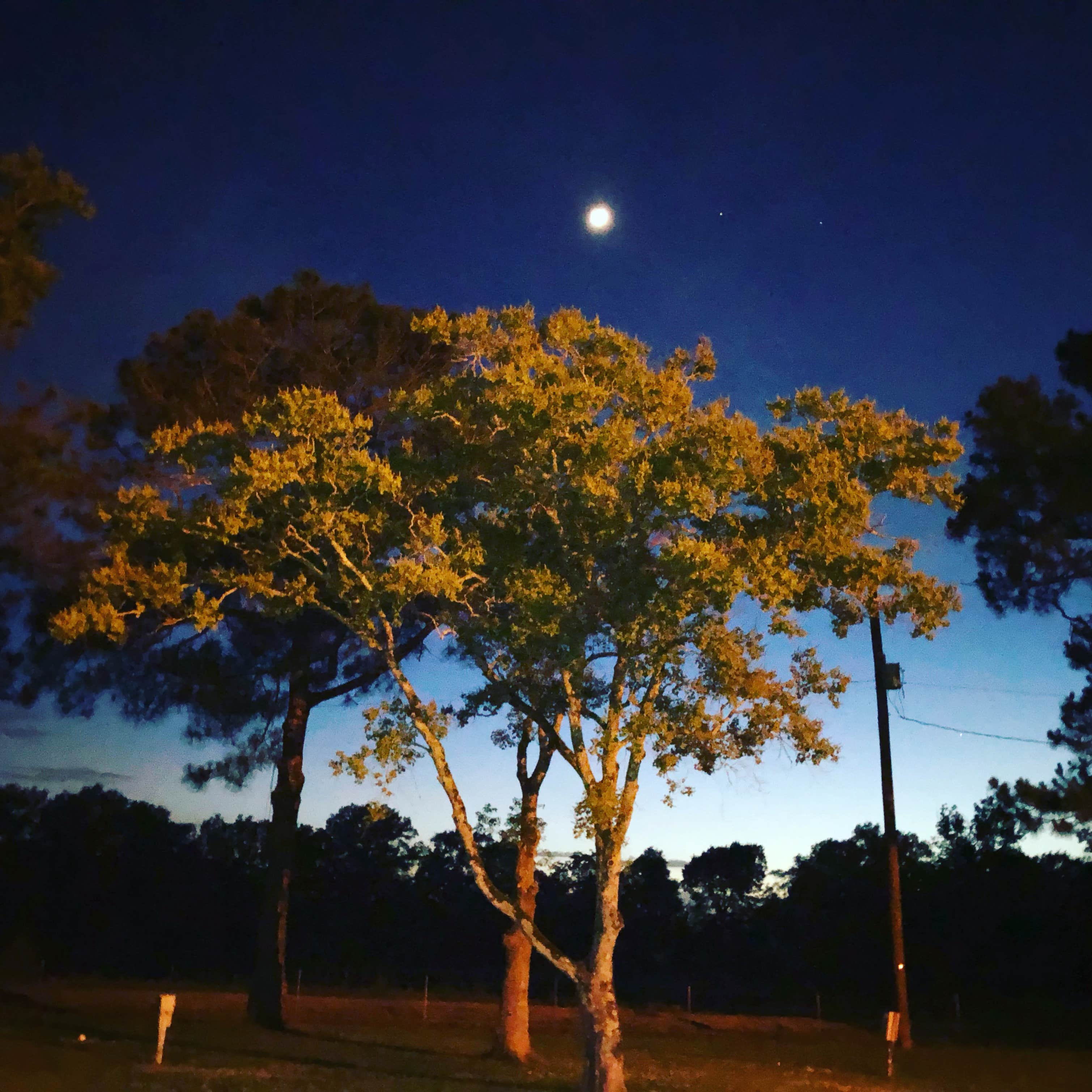 Camper-submitted photo at Ouachita RV Park near Pioneer, LA