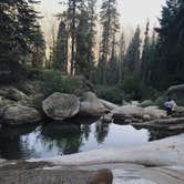 Review photo of Sunset Campground — Kings Canyon National Park by Azizah T., June 5, 2020