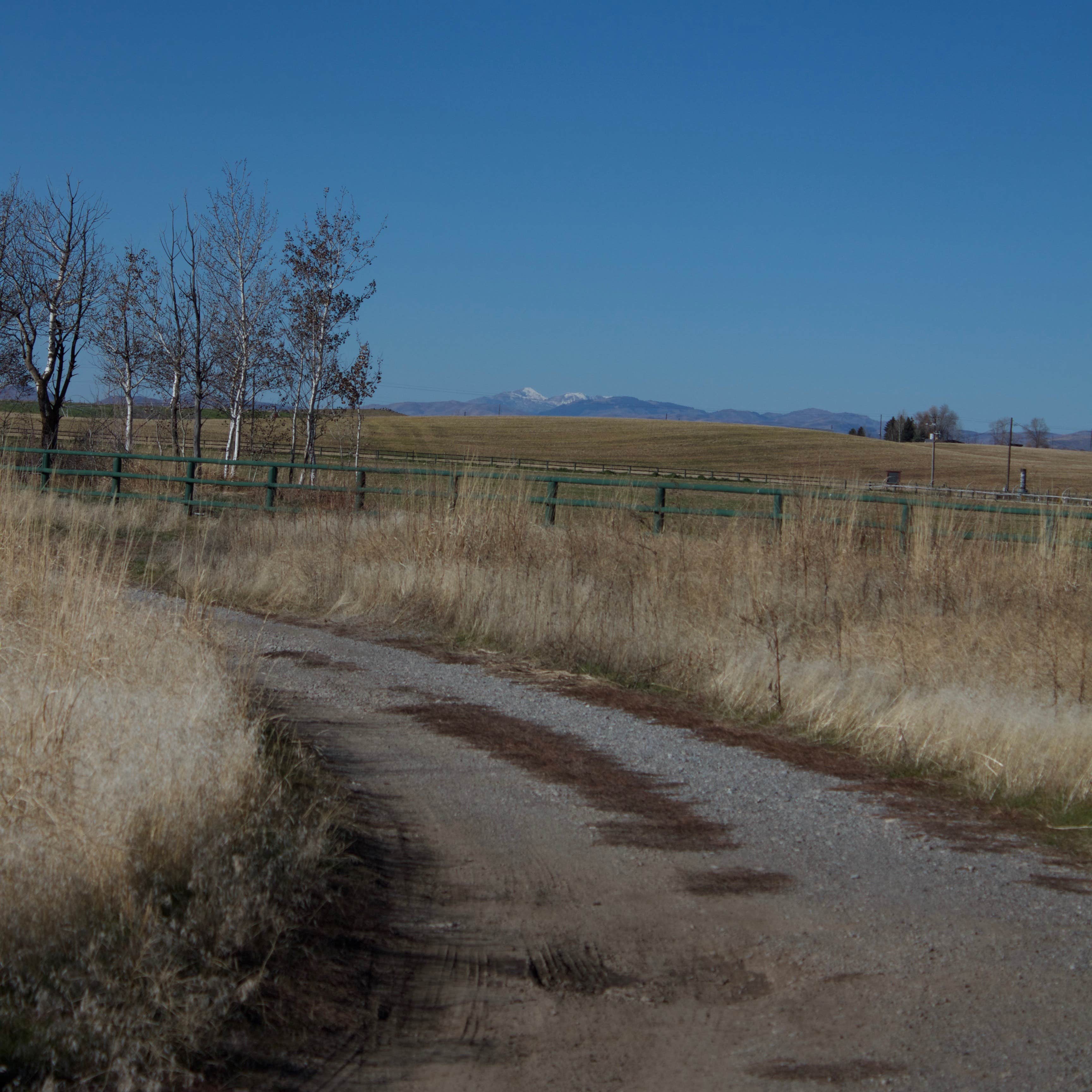 Roads