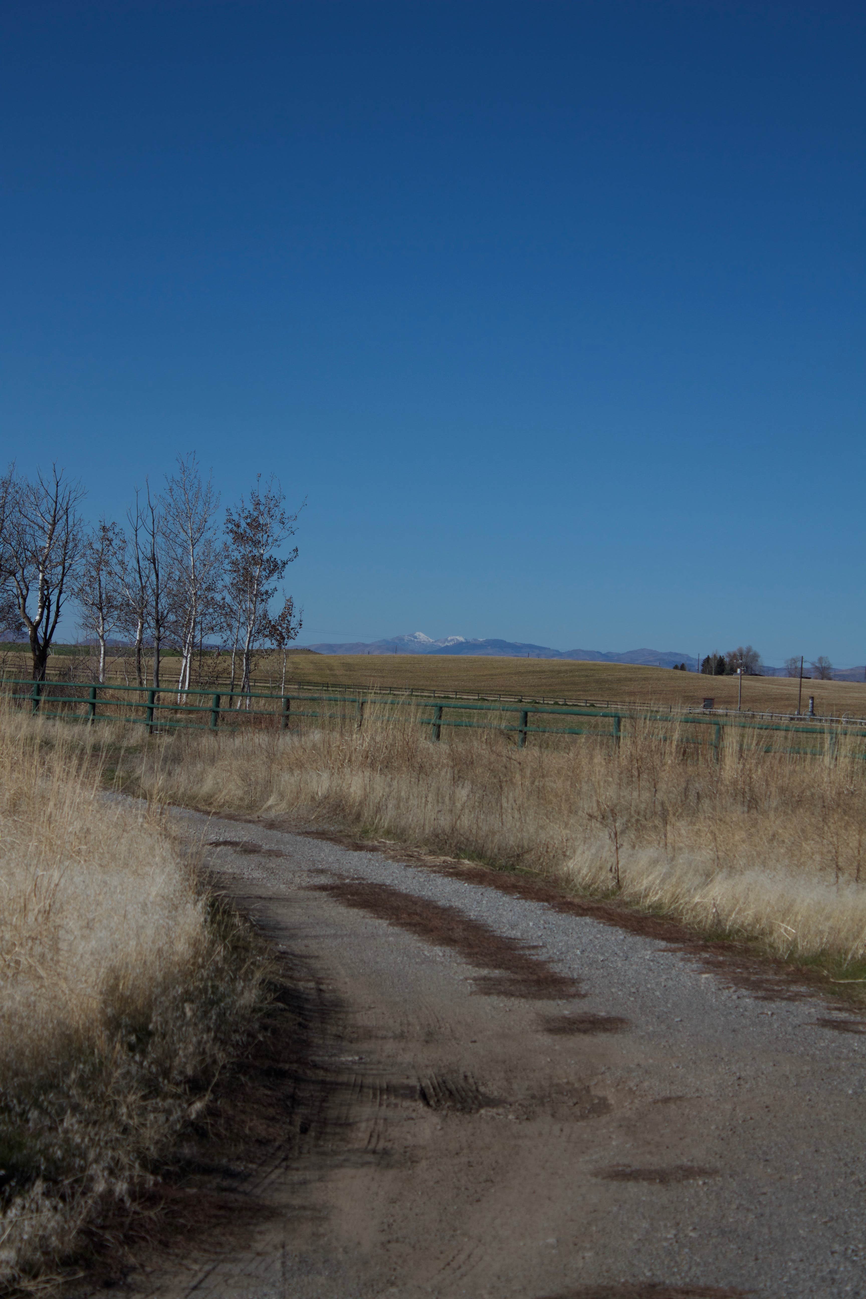 Roads