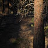Review photo of Stoddard Creek Campground by Daniel S., October 14, 2017