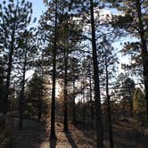 Review photo of Stoddard Creek Campground by Daniel S., October 14, 2017