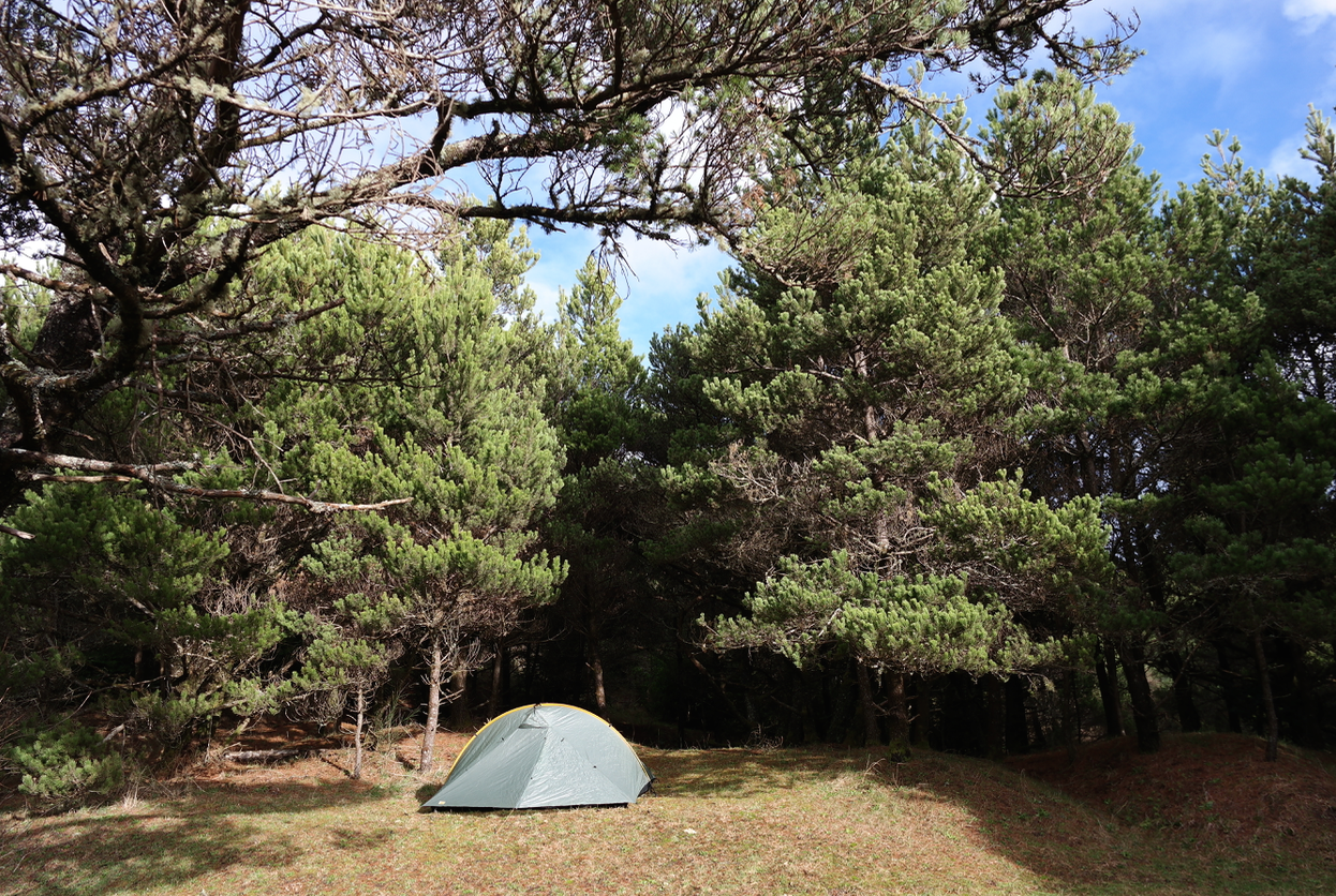 Camper submitted image from Westport Recreation Park - 2