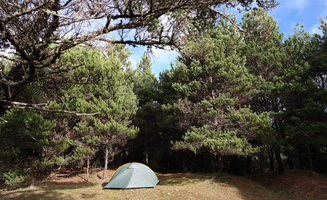 Kayko S.'s photo at Westport Recreation Park near Westport, WA