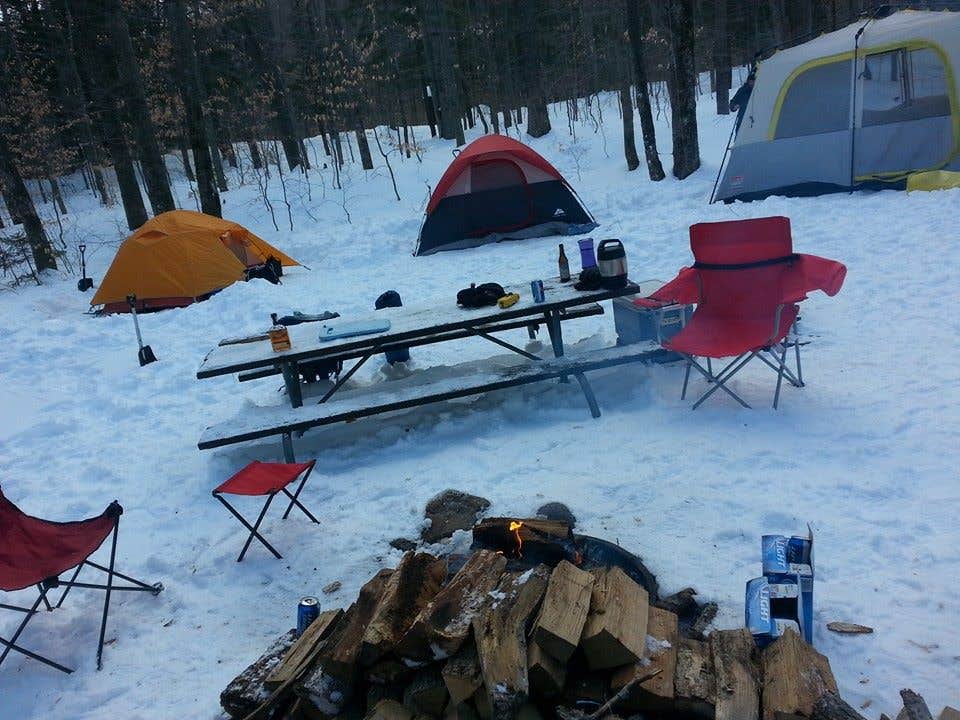 Camper submitted image from Fourth Iron Campground - 3
