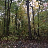 Review photo of Mahlon Dickerson Reservation by Annelise S., October 14, 2017