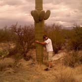 Review photo of Catalina State Park Campground by Daniel S., October 14, 2017