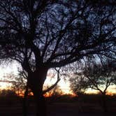 Review photo of Catalina State Park Campground by Daniel S., October 14, 2017