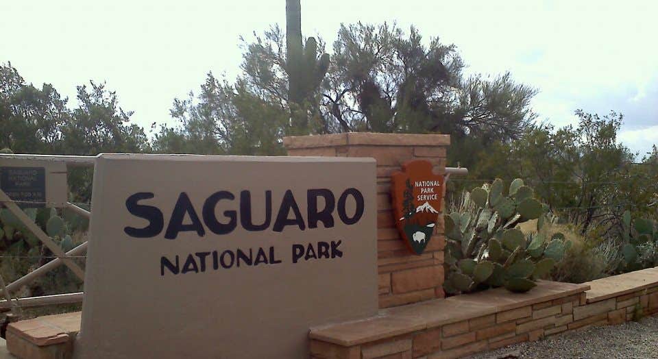 Main Saguaro National Park Sign Near Catalina State Park Campground