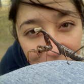 Review photo of Catalina State Park Campground by Daniel S., October 14, 2017