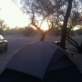 Review photo of Catalina State Park Campground by Daniel S., October 14, 2017