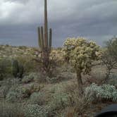 Review photo of Catalina State Park Campground by Daniel S., October 14, 2017