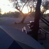 Review photo of Catalina State Park Campground by Daniel S., October 14, 2017