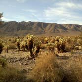 Review photo of Joshua Tree South - BLM Dispersed by Daniel S., October 14, 2017