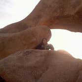 Review photo of Joshua Tree South - BLM Dispersed by Daniel S., October 14, 2017