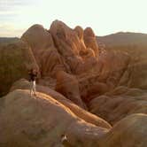 Review photo of Ryan Campground — Joshua Tree National Park by Daniel S., October 14, 2017