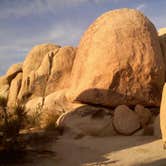 Review photo of Ryan Campground — Joshua Tree National Park by Daniel S., October 14, 2017