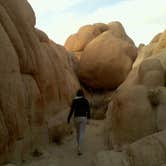 Review photo of Ryan Campground — Joshua Tree National Park by Daniel S., October 14, 2017