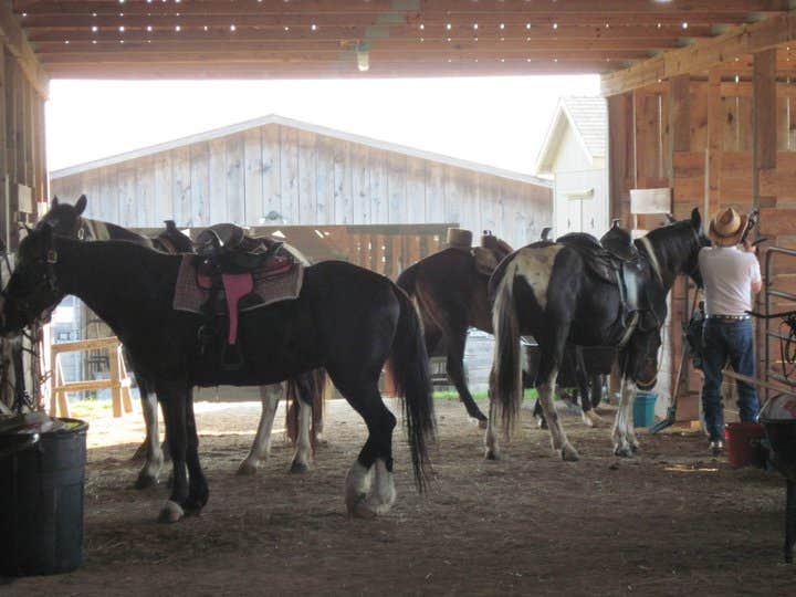 The Dyrt's photo of camping with a horse at True West Campground & Stables near Cookeville, TN