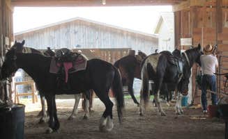 The Dyrt's photo of camping with a horse at True West Campground & Stables in Tennessee