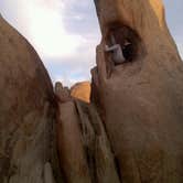 Review photo of Ryan Campground — Joshua Tree National Park by Daniel S., October 14, 2017
